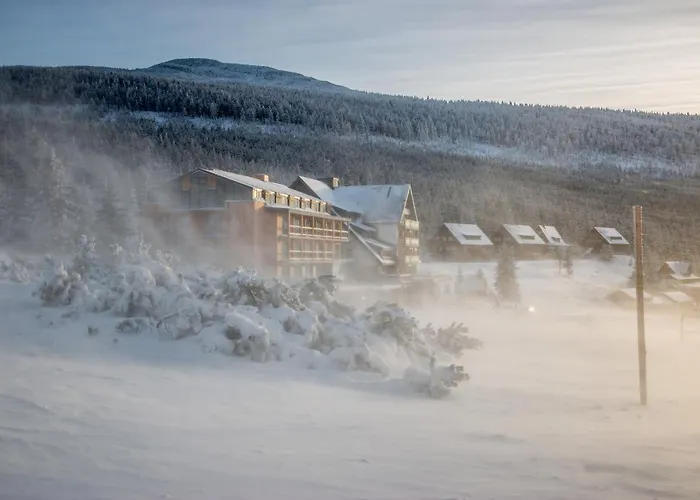 Hotel Sv. František - Erlebachova Bouda 2*