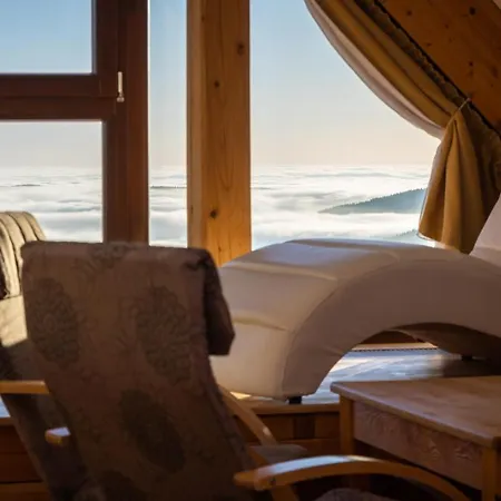 Erlebachova Bouda, - Svaty Frantisek Hotell