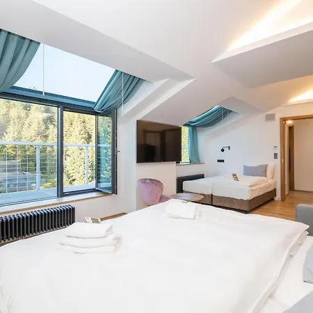 Erlebachova Bouda, - Svaty Frantisek Hotell 2*